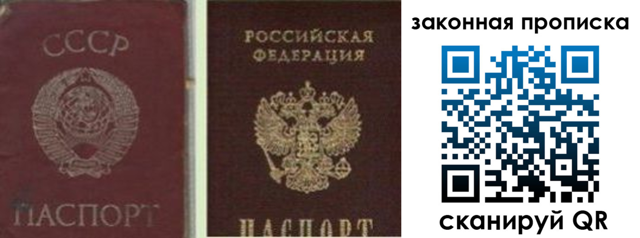 прописка для работы в Волгограде